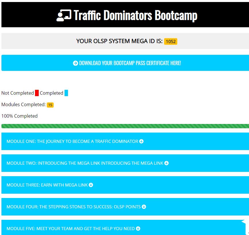 Traffic Dominators Bootcamp