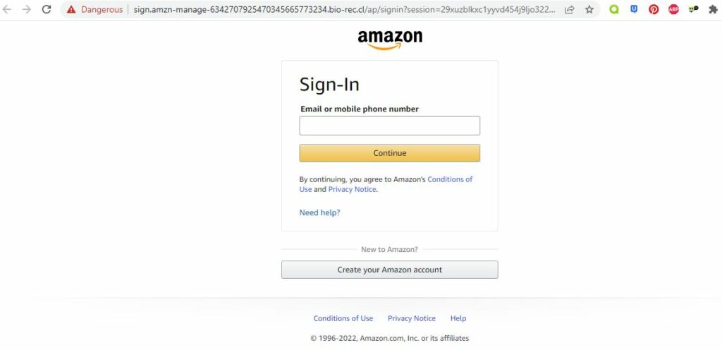 Fake Amazon Website